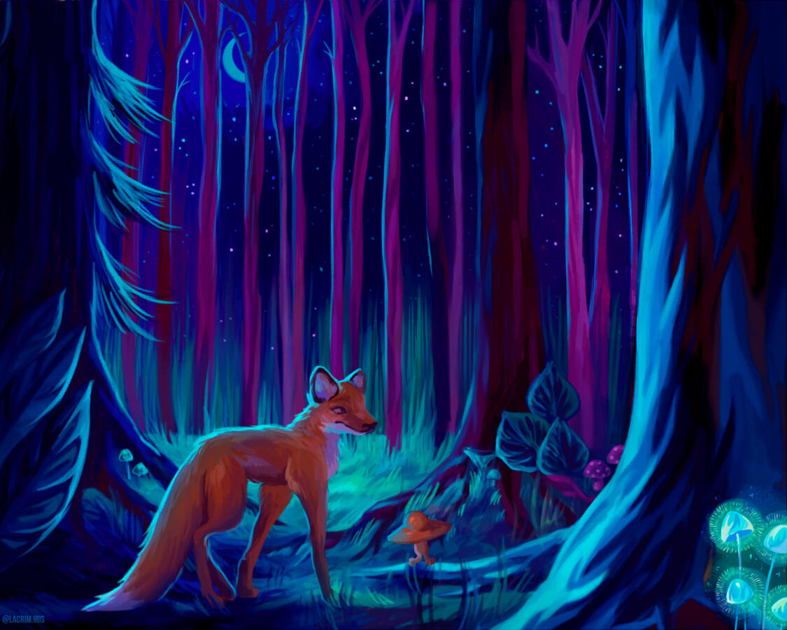 ✩ A Mystical Forest